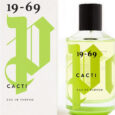 cacti-1.jpeg
