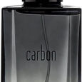 carbon-1.jpg
