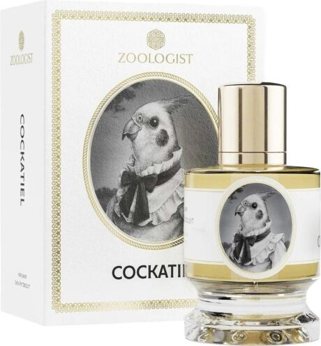 cockatiel-3.jpg