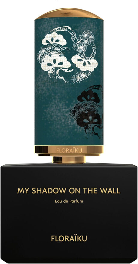 my-shadow-on-the-wall.jpg
