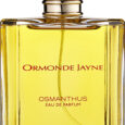 osmanthus-1-1.jpg