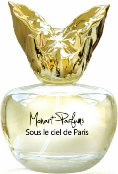 sous-le-ciel-de-paris.jpg